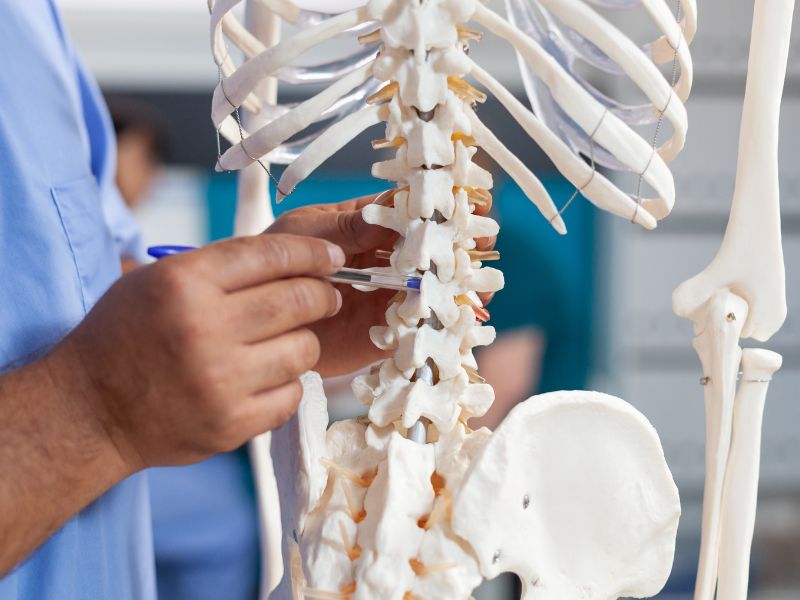 fisiopatologia osteoporose patogênese