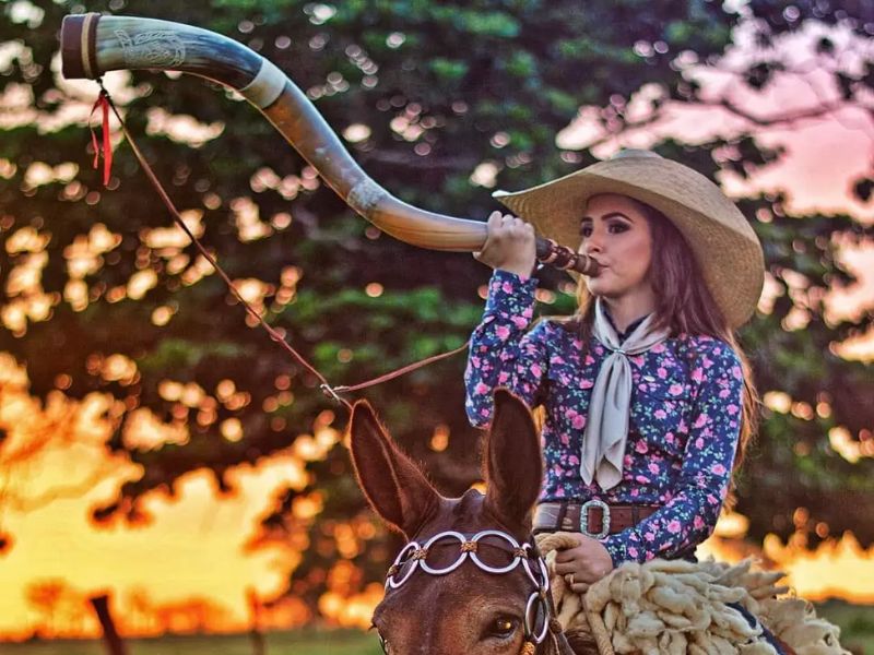 como tocar berrante para o gado