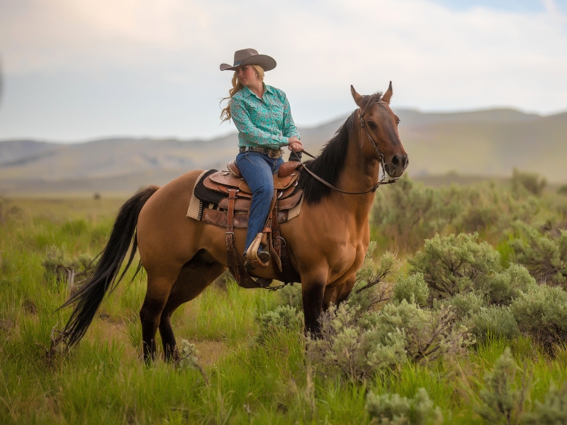 estilo de roupa para cavalgada e importância