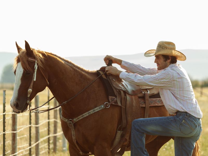 roupa de cavalgada masculina e modelos