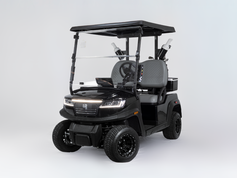 carrinho de golfe 2 lugares preço